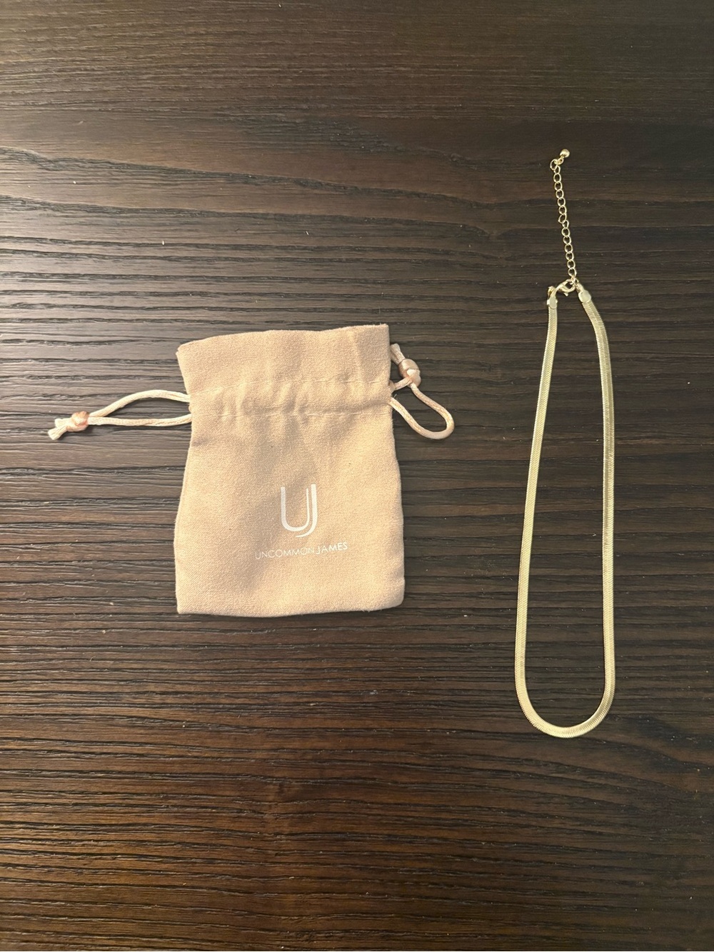 NEW Uncommon James Gold Unisex Horizon Necklace